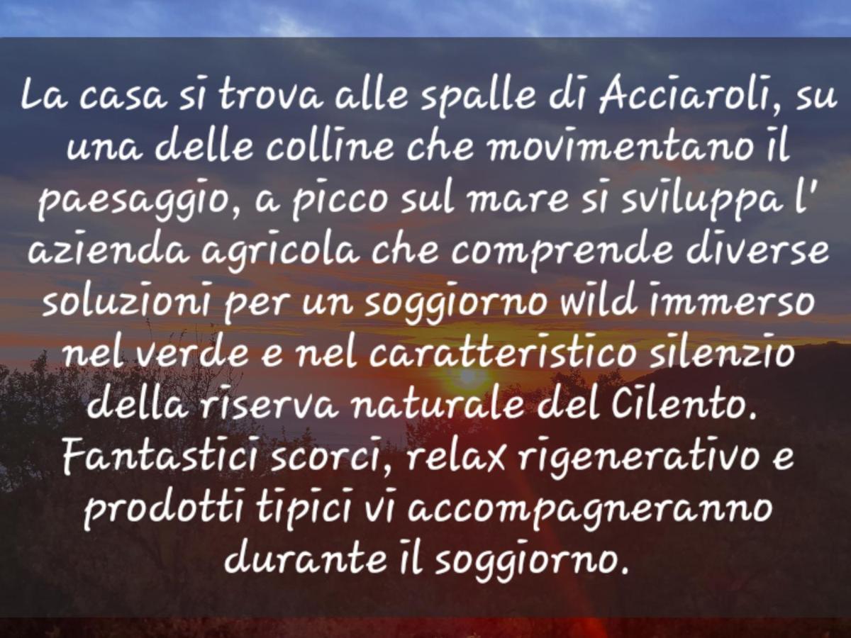 Agriturismo Le Terre Di Venere Аччароли Экстерьер фото