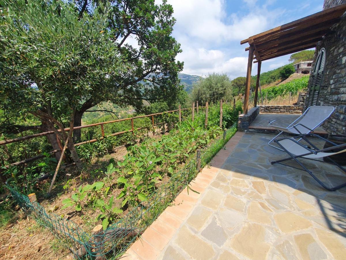 Agriturismo Le Terre Di Venere Аччароли Экстерьер фото